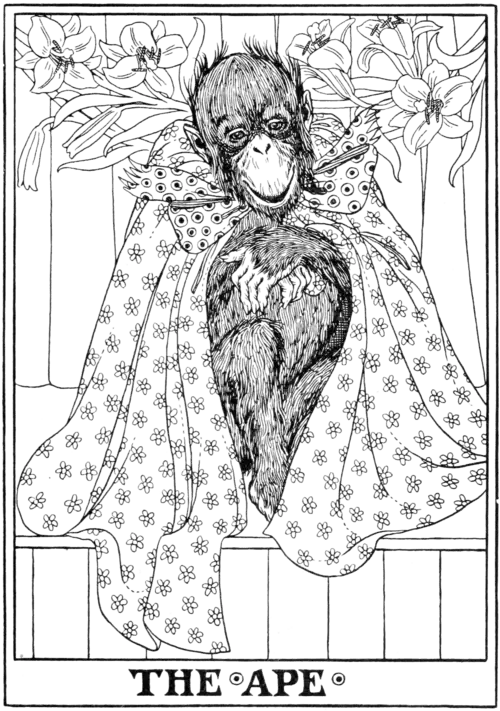 The Ape.