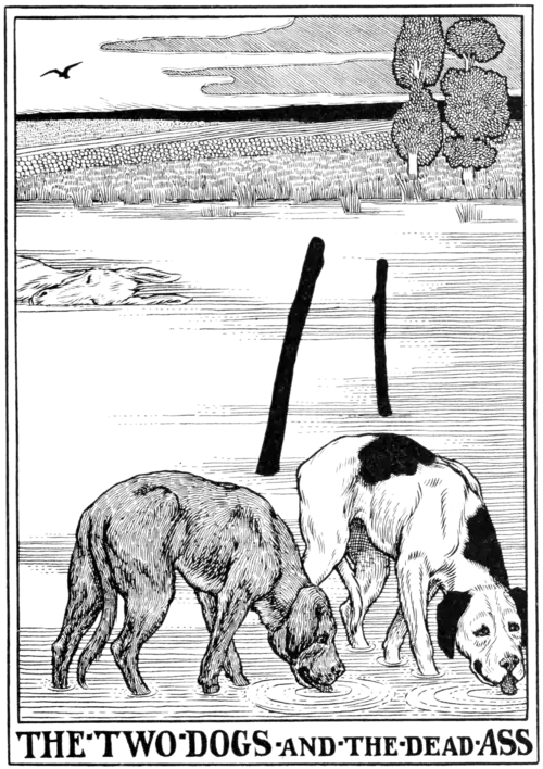 The two Dogs and the dead Ass.