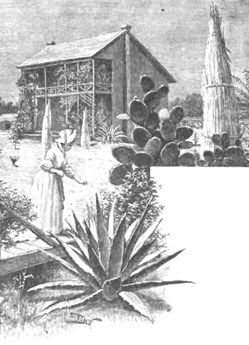 Click on image to enlarge.