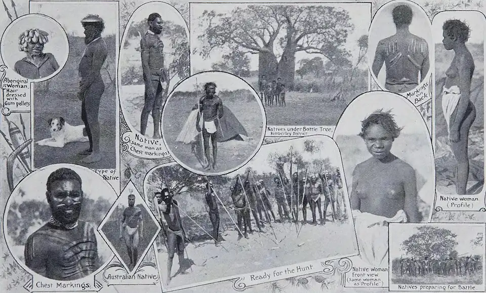 Montage of Aboriginal Australians: profiles, side views, and groups. Includes woman with hair dressed with gum pellets, man with chest markings, and groups with spears 'ready for the hunt' and 'preparing for battle'.