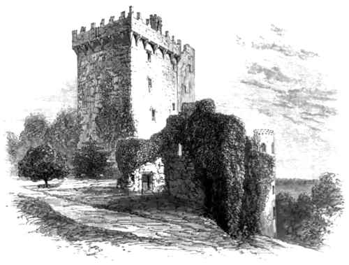 Archaeologia, volume 38, 195b.png