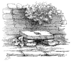 Archaeological Journal, Volume 2, 0260.png