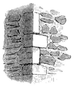 Archaeological Journal, Volume 3, 0075b.png