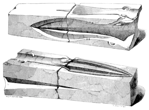 Archaeological Journal, Volume 3, 0285.png