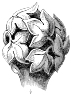 Archaeological Journal, Volume 3, 0419f.png