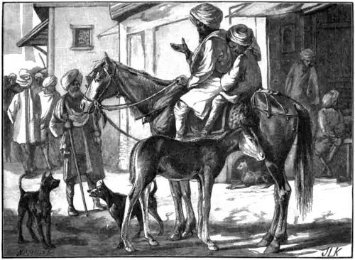 PUNJAB FARMER ON A BRANDED MARE