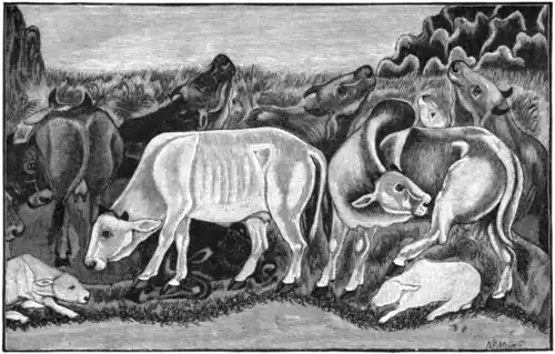 CATTLE BY AN INDIAN ARTIST