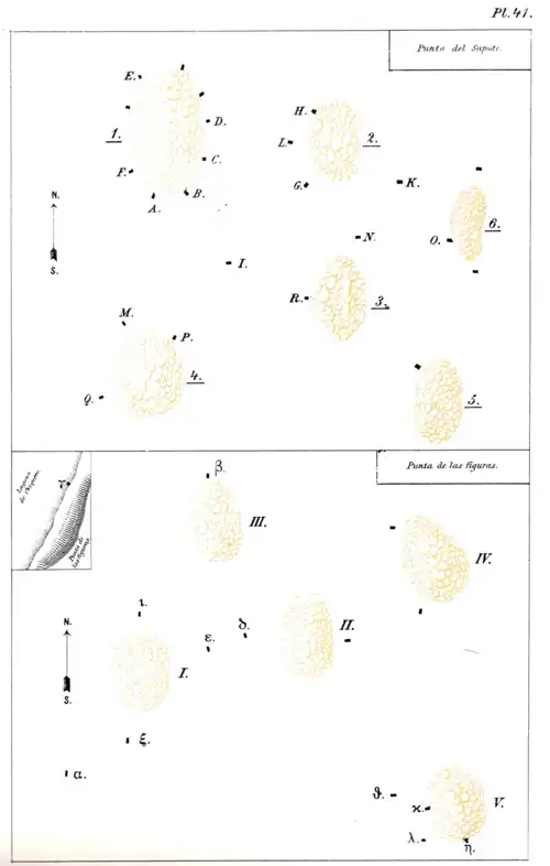 Book Nicaraguan Antiquities scan page 141 Pl 41