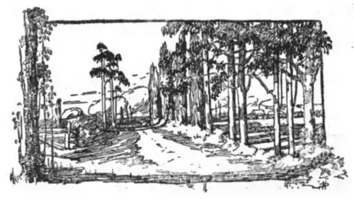 A road in the centre leading into the distance, lined by trees on the right with a smattering of trees on the left