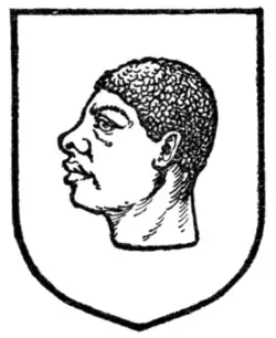 Fig. 254.—A blackamoor's head.