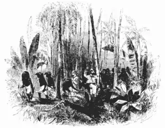 click on image to enlarge