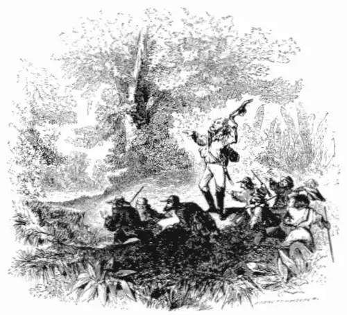 click on image to enlarge