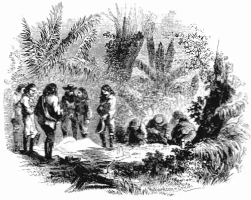 click on image to enlarge