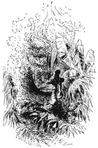 click on image to enlarge