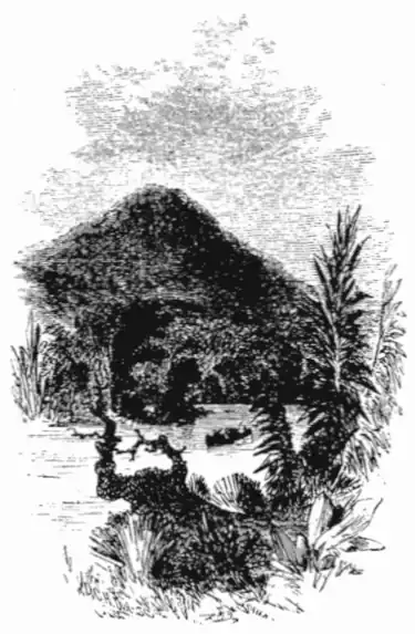 click on image to enlarge