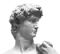 The head of Michelangelo's David