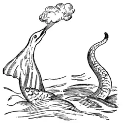 Fig. 2.—Sea-serpent, as observed by Hans Egede.