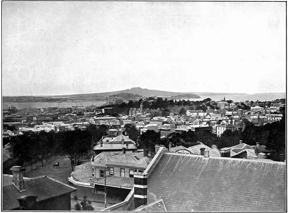 Auckland cityscape and rooftops
