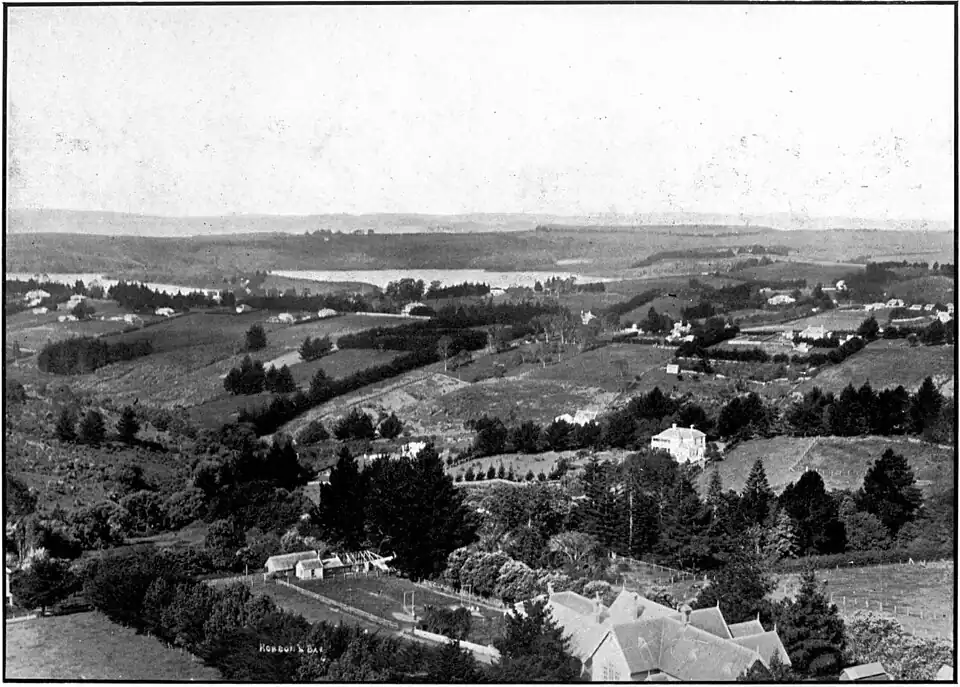 Auckland cityscape and harbour in the distance