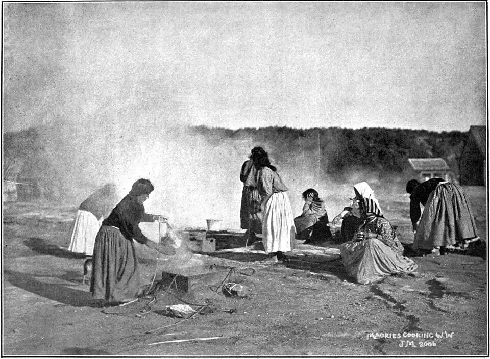 A group of Māori women in long dresses around steaming pools in a barren landscape.