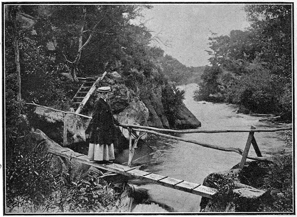 A women with a hat and cloak standing on a small bridge (more a plank) with a hand railing on one side, going over a small river with trees on either side