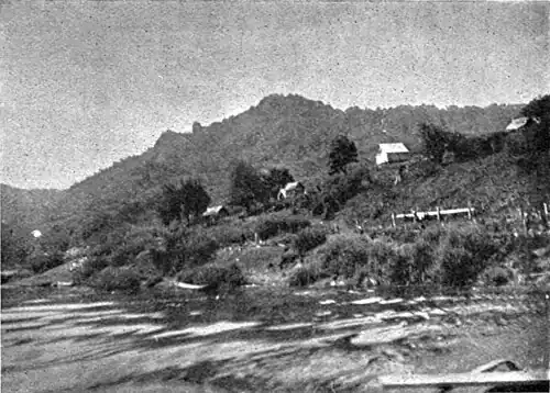 Four houses on the ridge line on a bank next to a river with bush clad hills in the background