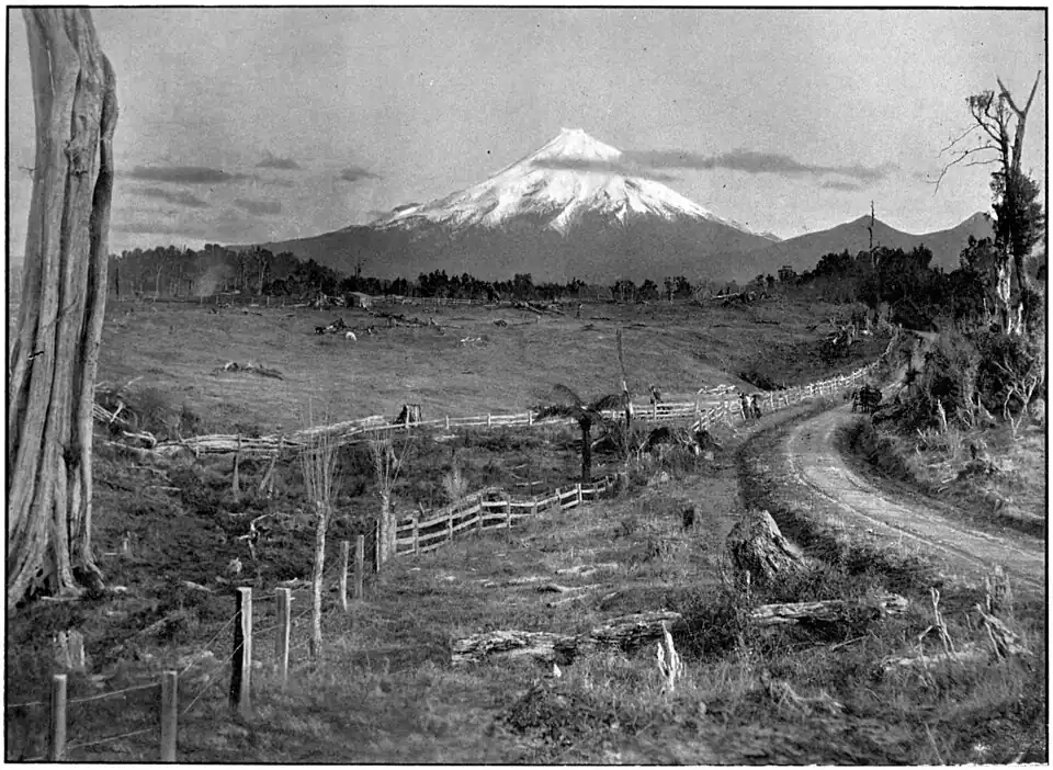 Mount Egmont with snow and scattered cloud, and cleared land with fences, tree stumps, a road with a cart and horse, and some trees in the foreground