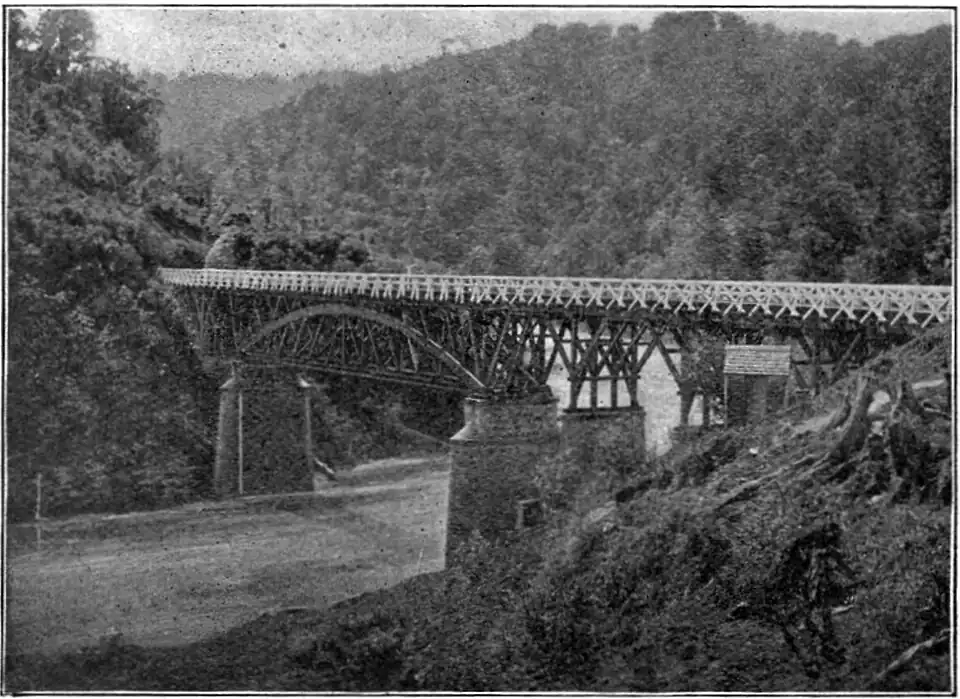 Bridge over a river lined surrounded by bush