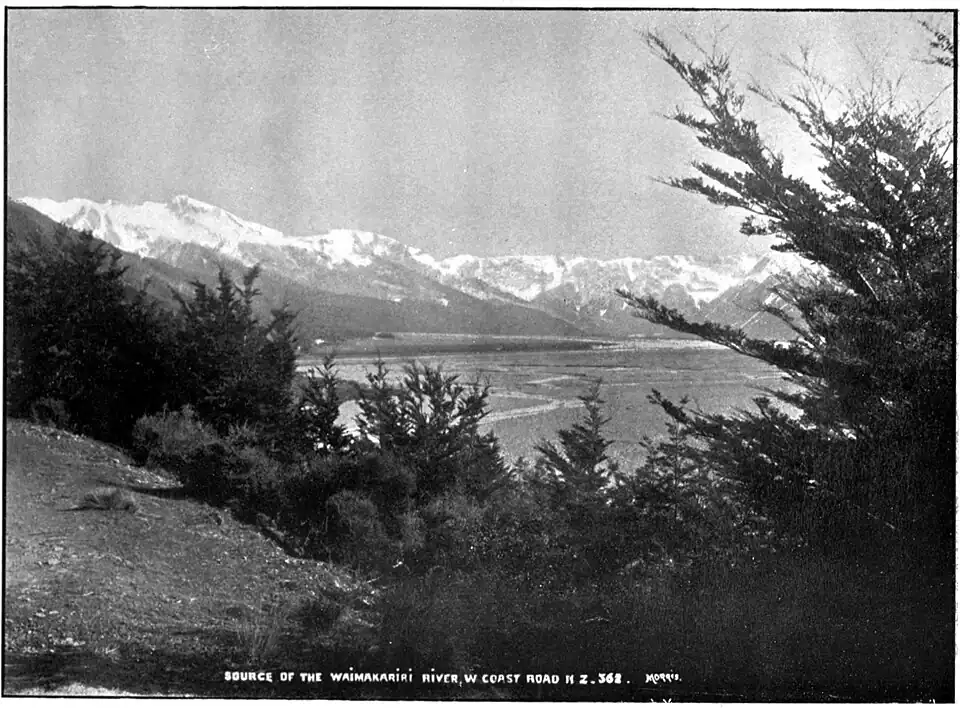 Braided river with mountains behind and trees and bush in the foreground