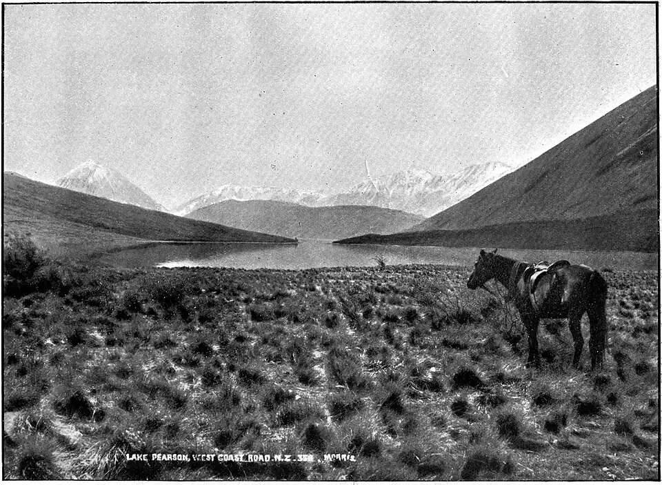Tussock covered ground with a saddled horse in the foreground, a lake in the middle (Lake Pearson, West Coast Road) surrounded by hills and snow covered mountains in the distance