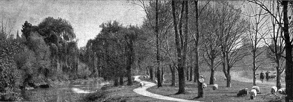 A photo of a curvy path with trees and sheep on both sides. On the left side there is a river.
