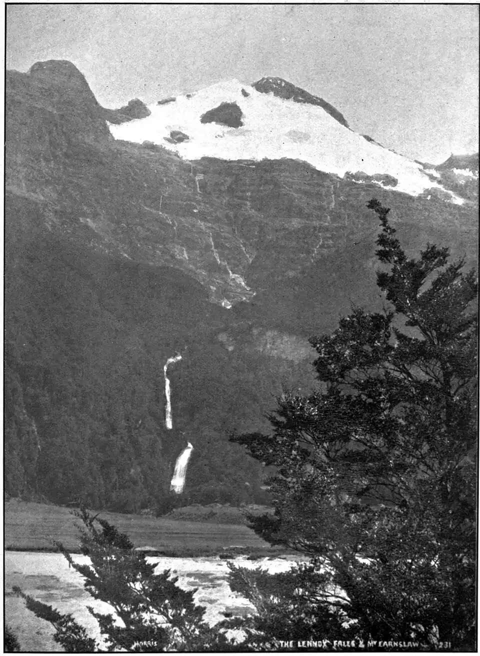 Looking past a beech tree across a river valley at a show-topped mountain; a tall waterfall is visible on its slope.
