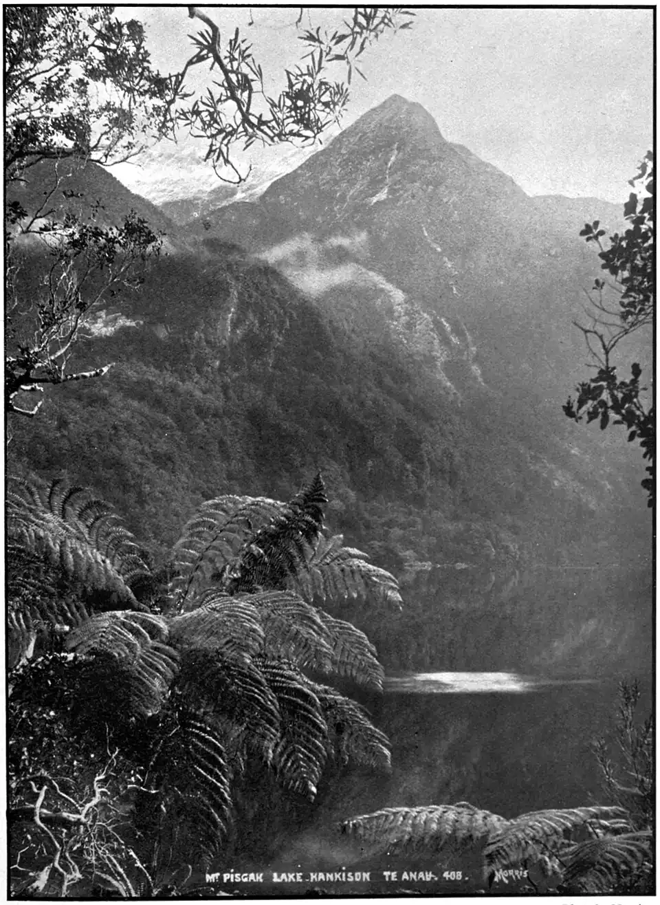 A photo from Lake Hankison, Fiordland. There are ferns and trees in the foreground while the mountain in the background appears to have snow at the top.