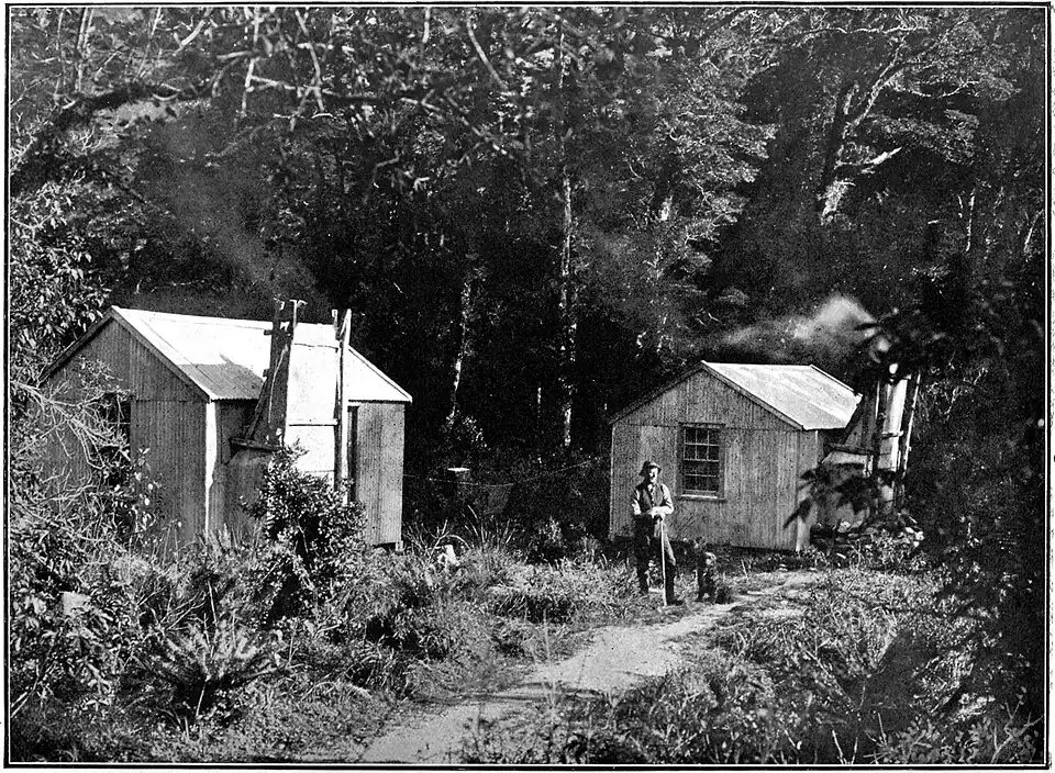 Photo of a man and a dog standing by two huts, surrounded by bush.