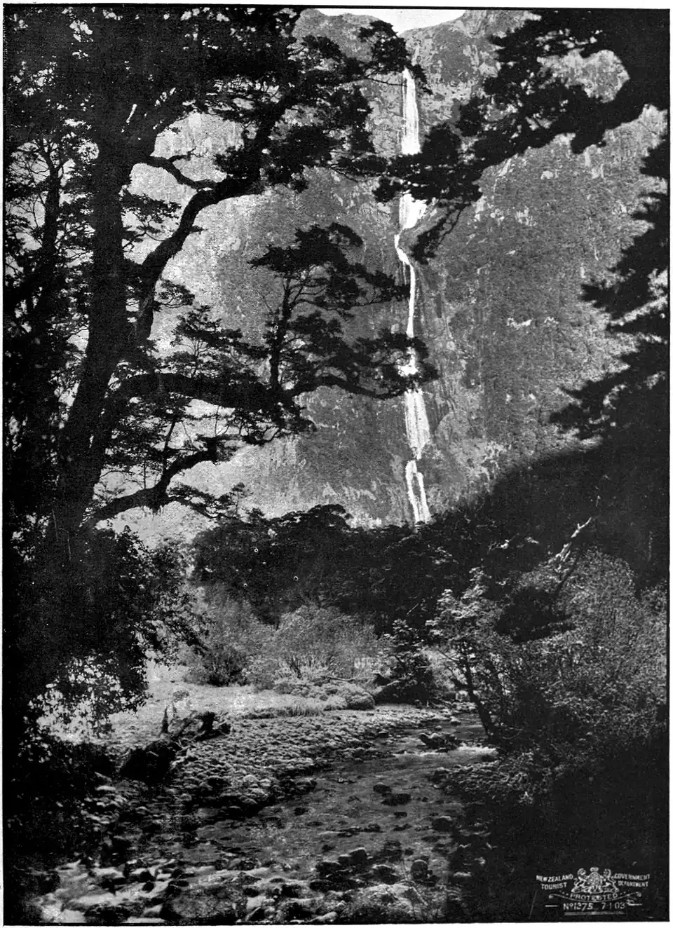 Sutherland Falls, Fiordland - long waterfall coming down an almost vertical bush clad cliff, with tall trees and bush in the foreground.