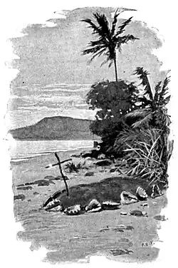 "THE THIRD YEAR THEY DO NOT GATHER SHELLS."