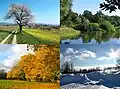 Montage of seasons