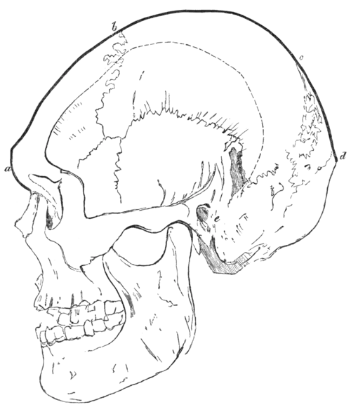 Geological Evidences of the Antiquity of Man Fig. 5.png
