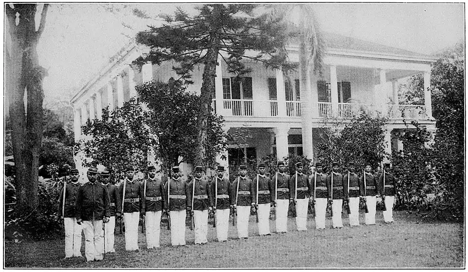 A large house with several potted trees in front