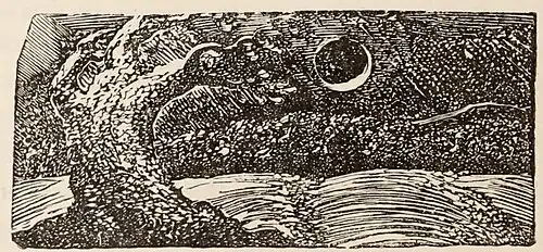 Fig. 69.—The Mark of Storm. By Blake. From Virgil’s Pastorals.
