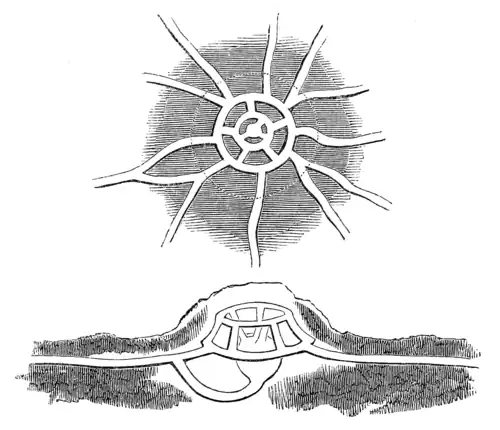 FORTRESS OF THE MOLE.