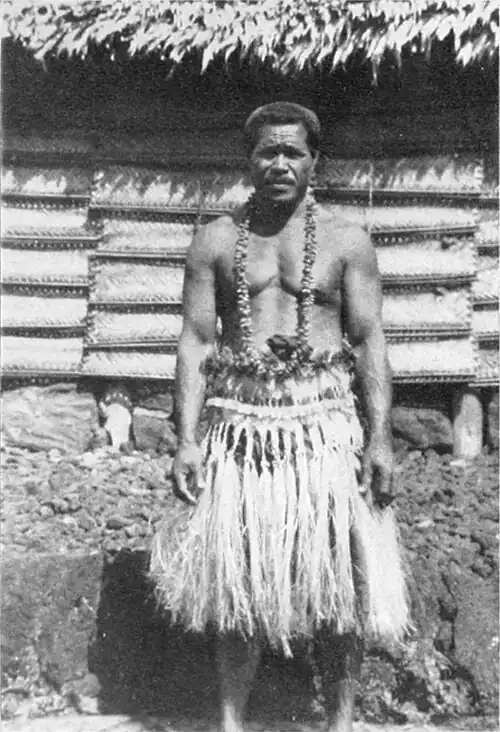 A photo of a man wearing a grass skirt and flower necklace