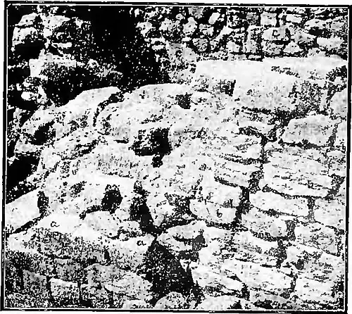 Fig. 11 - West Wall