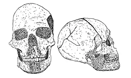 P.137-fig.40-Palæolithic Man and Terramara Settlements in Europe.jpg