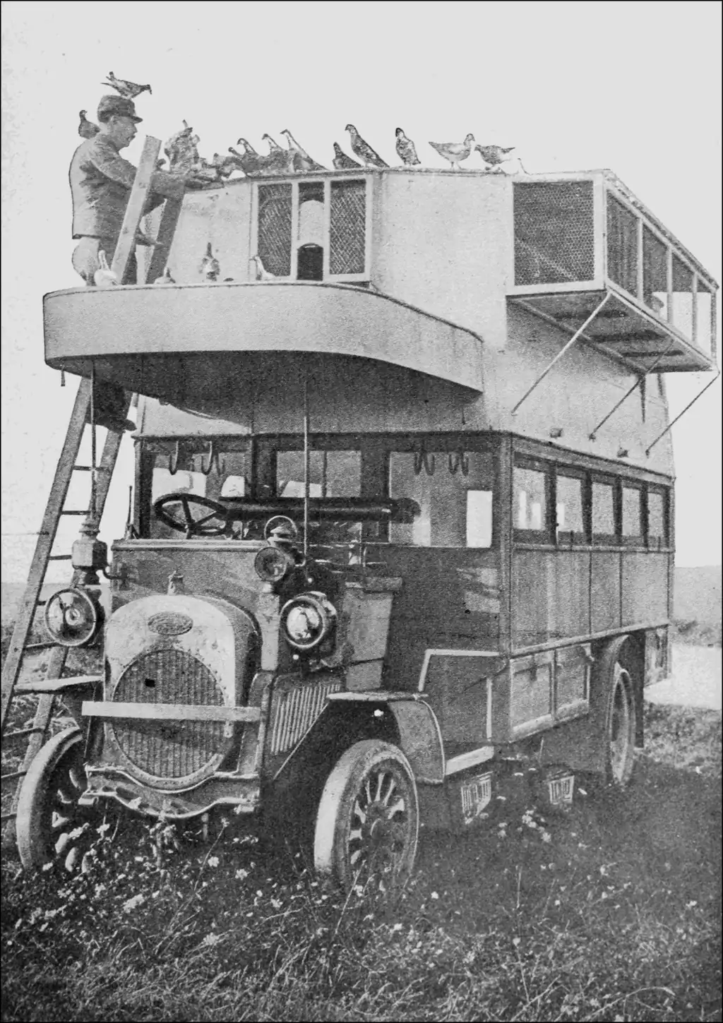image of motorbus converted into a dovecote