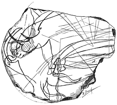 Palæolithic Man and Terramara Settlements in Europe, 0089.png