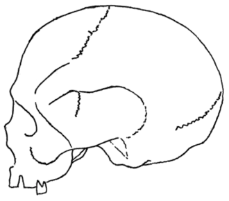 Palæolithic Man and Terramara Settlements in Europe, 0123.png