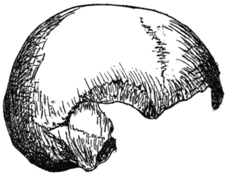 Palæolithic Man and Terramara Settlements in Europe, 0146.png