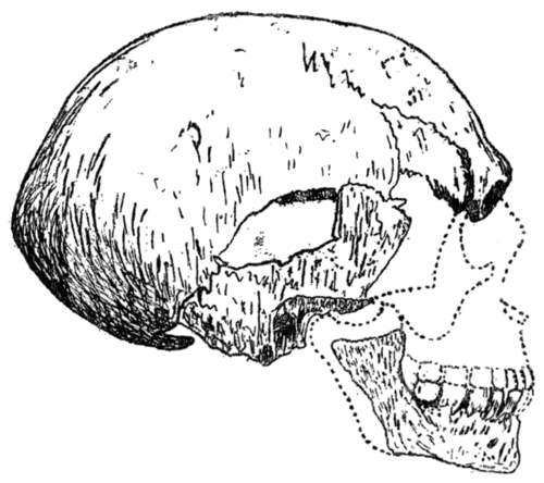 Palæolithic Man and Terramara Settlements in Europe, 0168.png