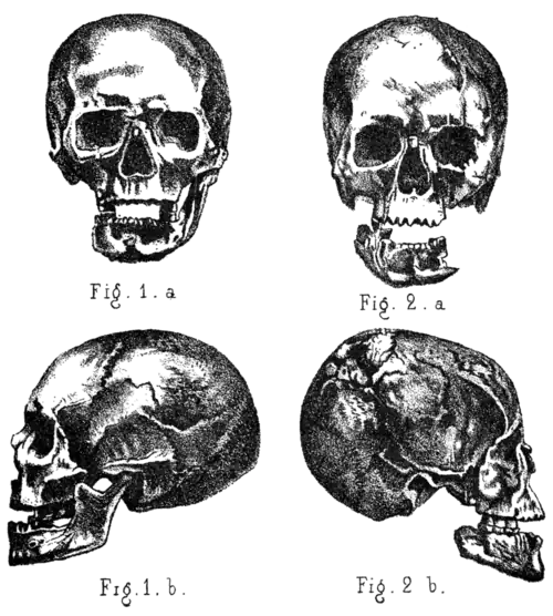 Palæolithic Man and Terramara Settlements in Europe, 0175.png